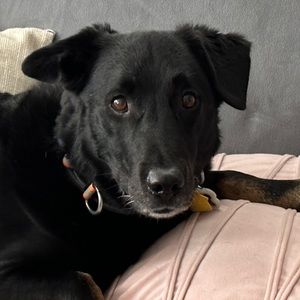 Meet your Posher, Alec